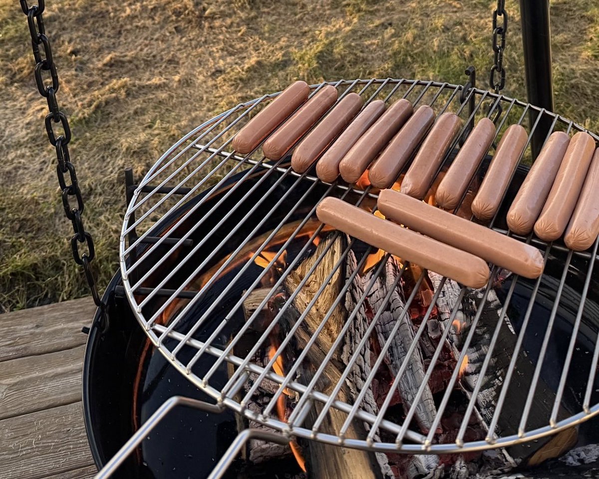 Auðrhild Eldr 🌲 tweet media