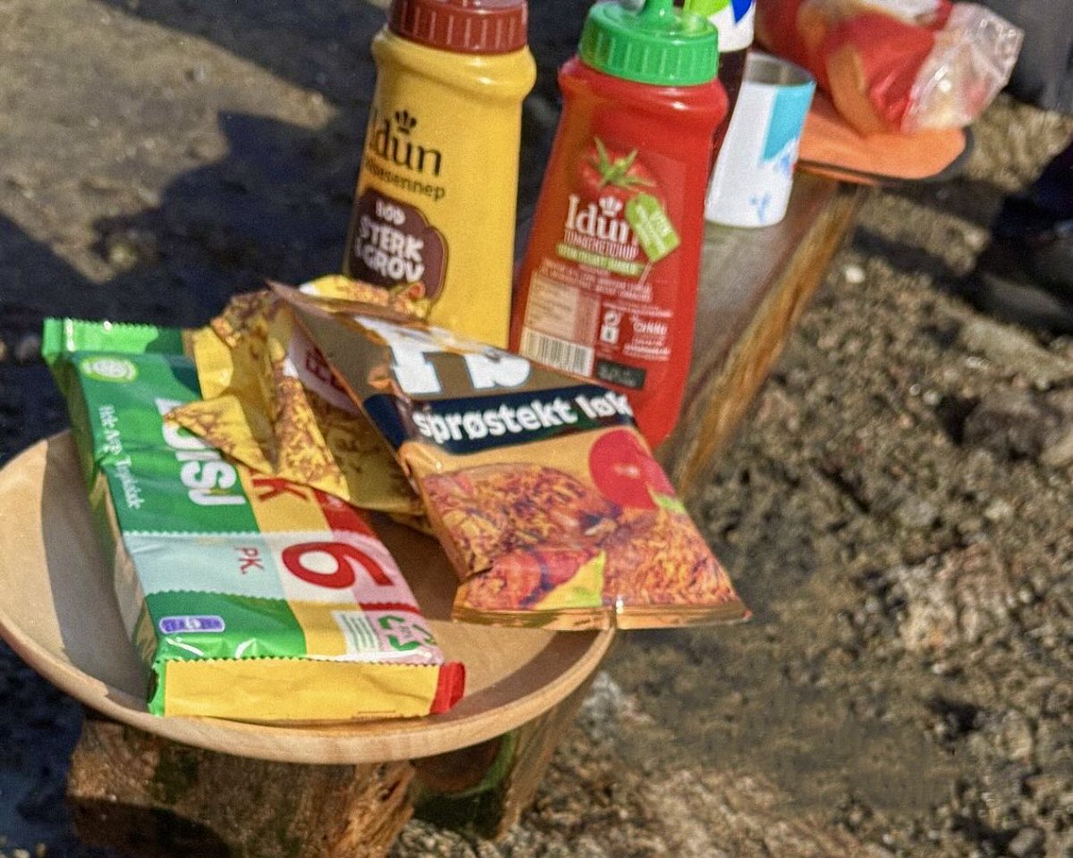 Auðrhild Eldr 🌲 tweet media