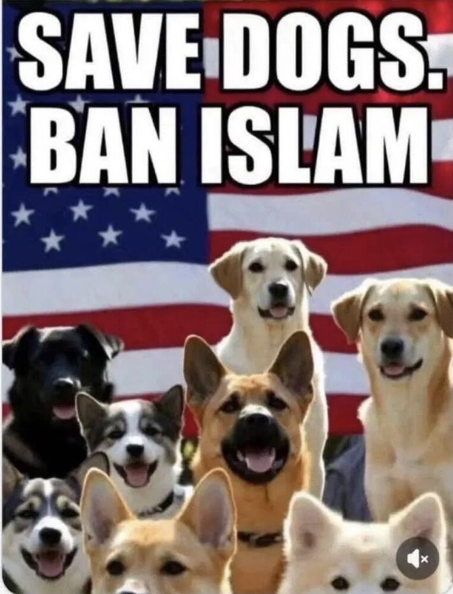 Tctech USA tweet media