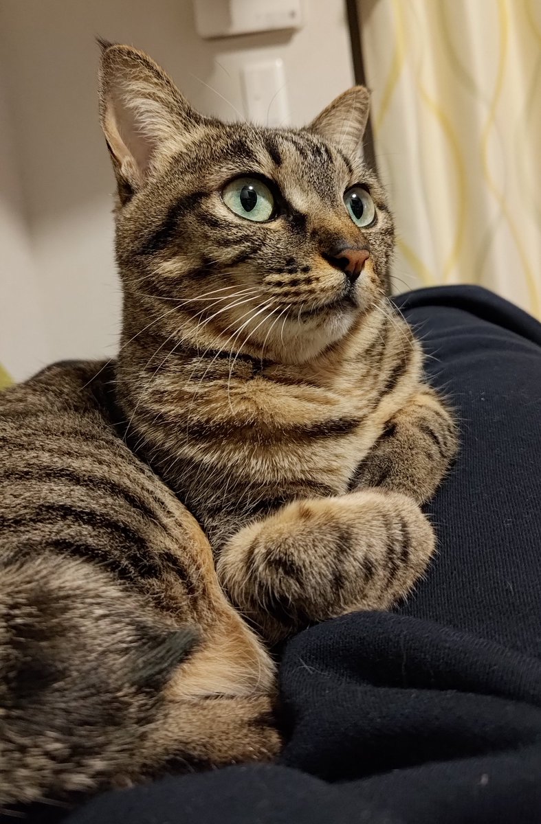 ひの🦈•ࡇ• tweet media