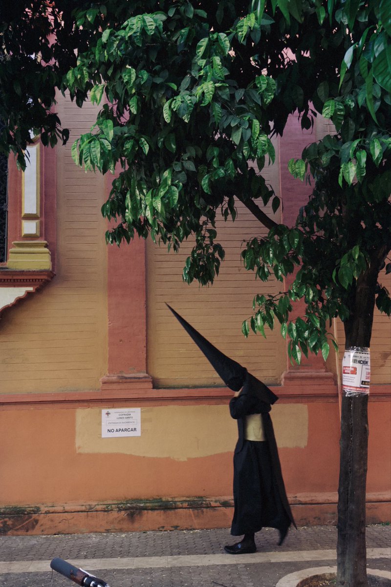 pabloanaya tweet media