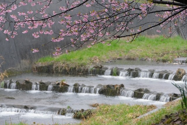 唐司 誠＠行政書士@さいたま市 tweet media