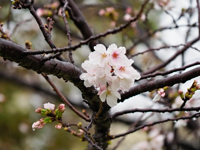 唐司 誠＠行政書士@さいたま市 tweet media