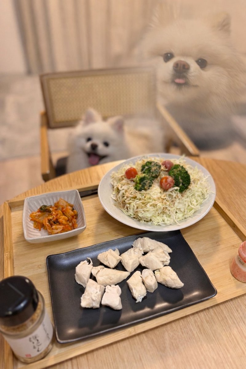 伊之助ボディになるまで毎日腹筋ローラー tweet media