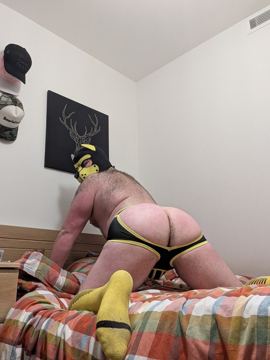 Ralphie 😈 tweet media