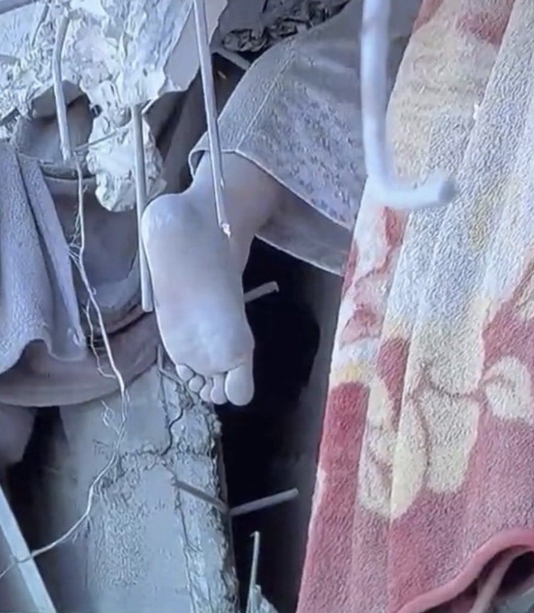 ابنتي العزيزة
من المبكر جداً ان تنالي شرف الشهادة…
لا سيما تحت كل هذا الركام والحطام…