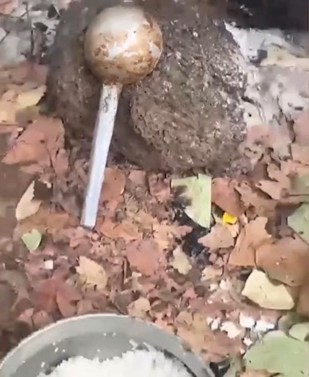 Berlin ❤️🇲🇱❤️🇲🇱❤️🇲🇱 tweet media