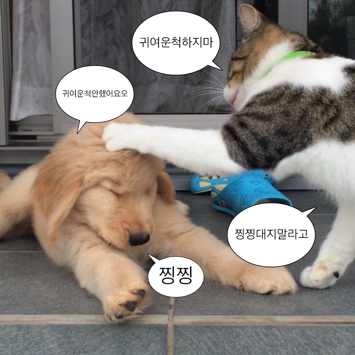 pup tweet media