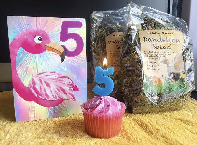 🇬🇧🐹🌿Chestnut Lodge 🌿🐹🇺🇦 tweet media