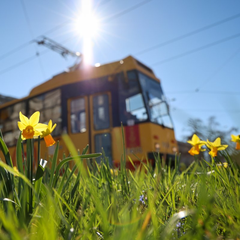 Warszawa tweet media