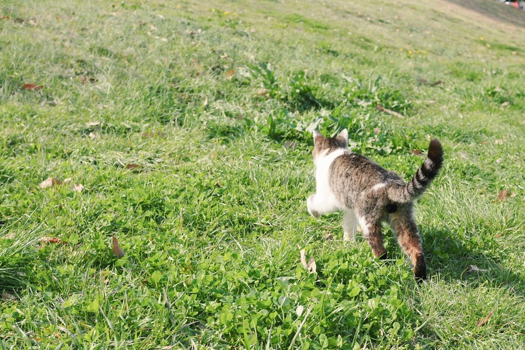 ひとしお tweet media