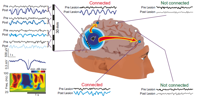 Leonardo Dalla Porta tweet media
