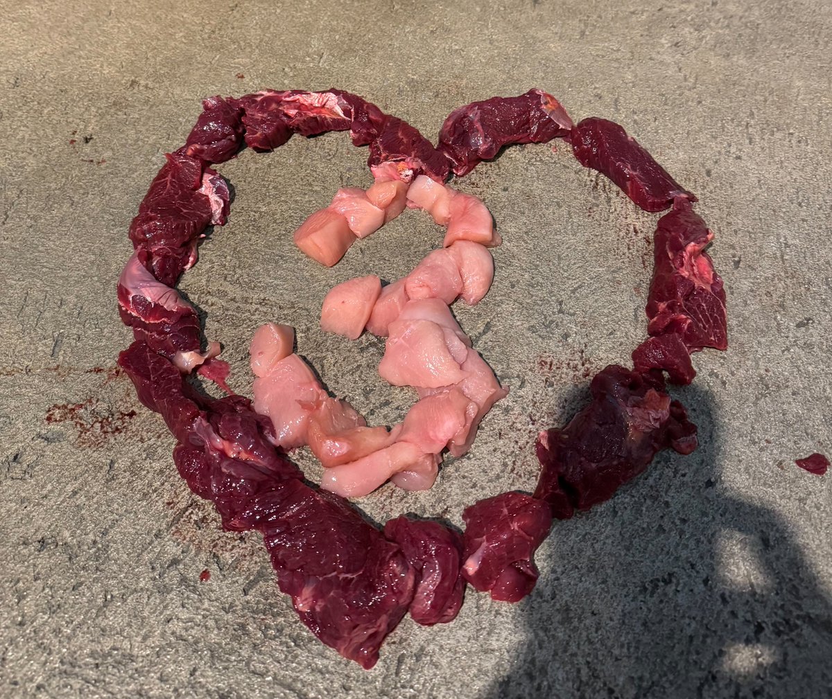 いしかわ動物園【公式】 tweet media