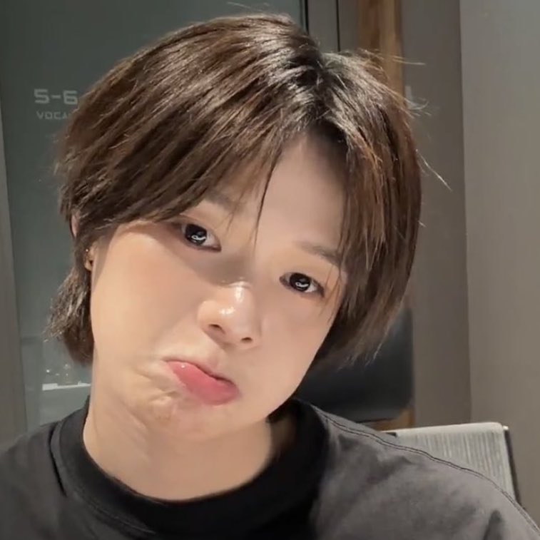 앨리스 tweet media