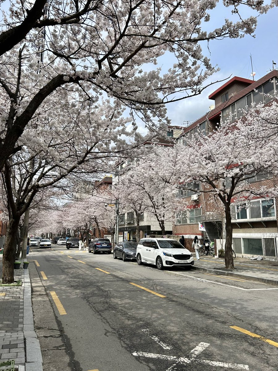 놀고먹고싶은개미 tweet media