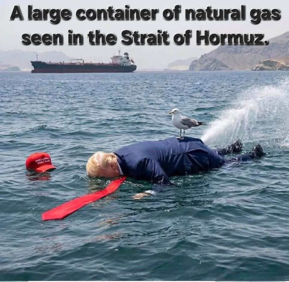 Irish Craic 🤪 tweet media