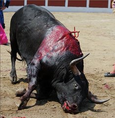 ROSY GONZALEZ tweet media