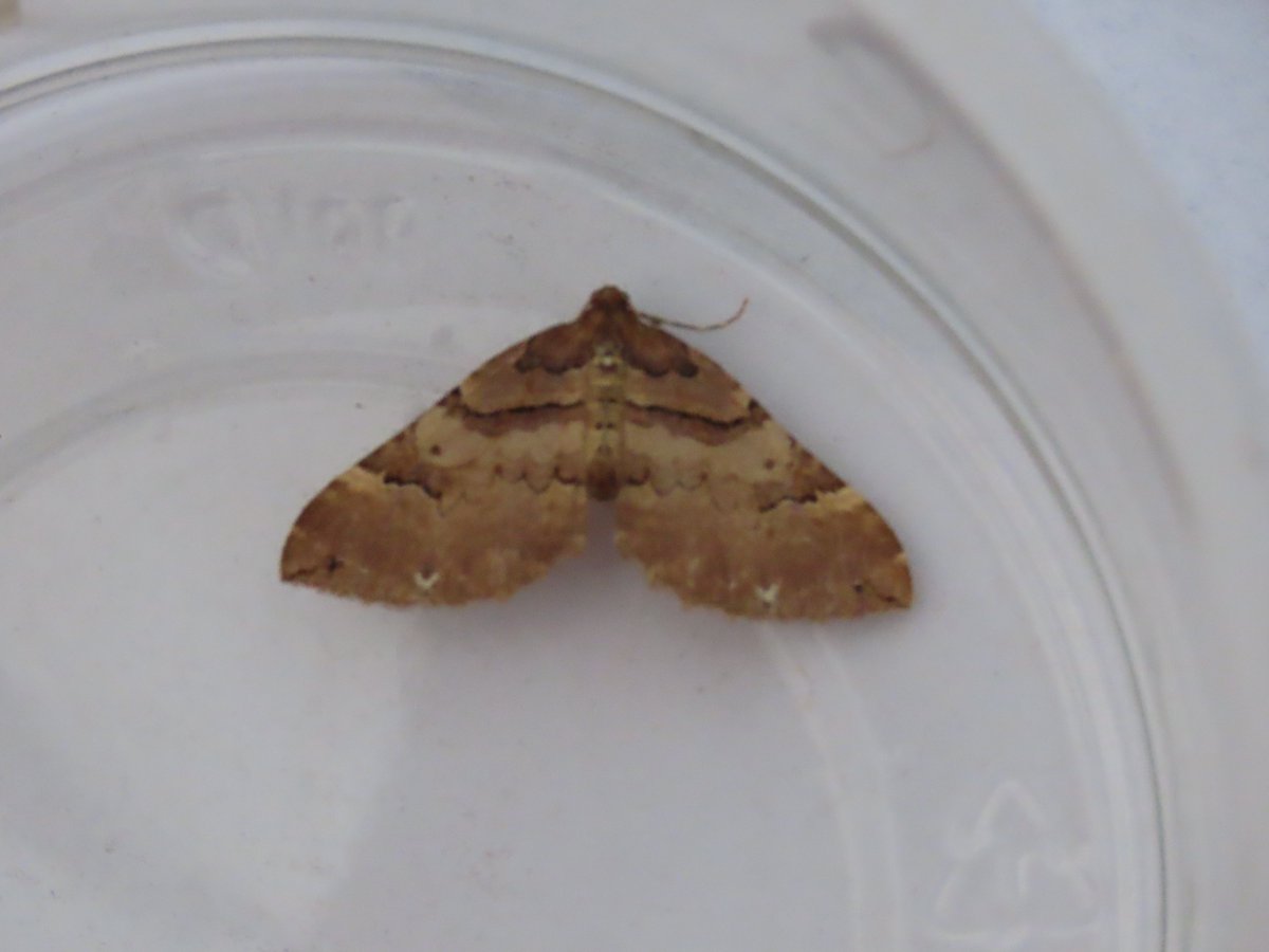 John Williams tweet media