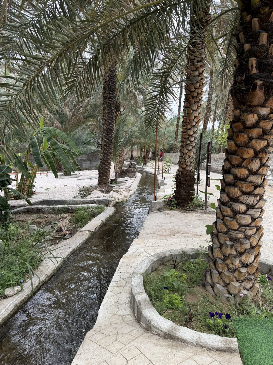 سعيد بن سالم الكلباني tweet media