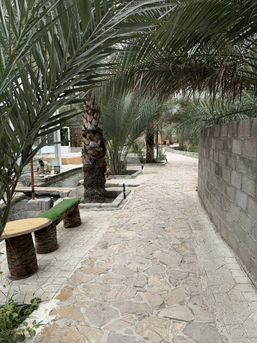 سعيد بن سالم الكلباني tweet media