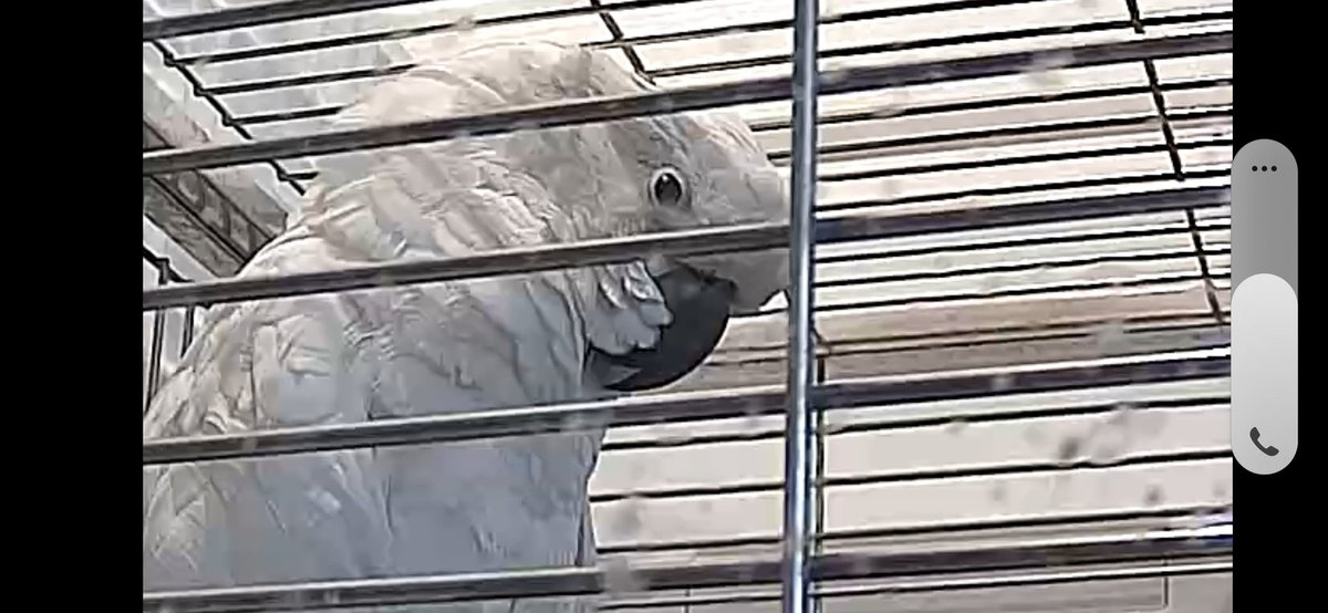 なーこ tweet media