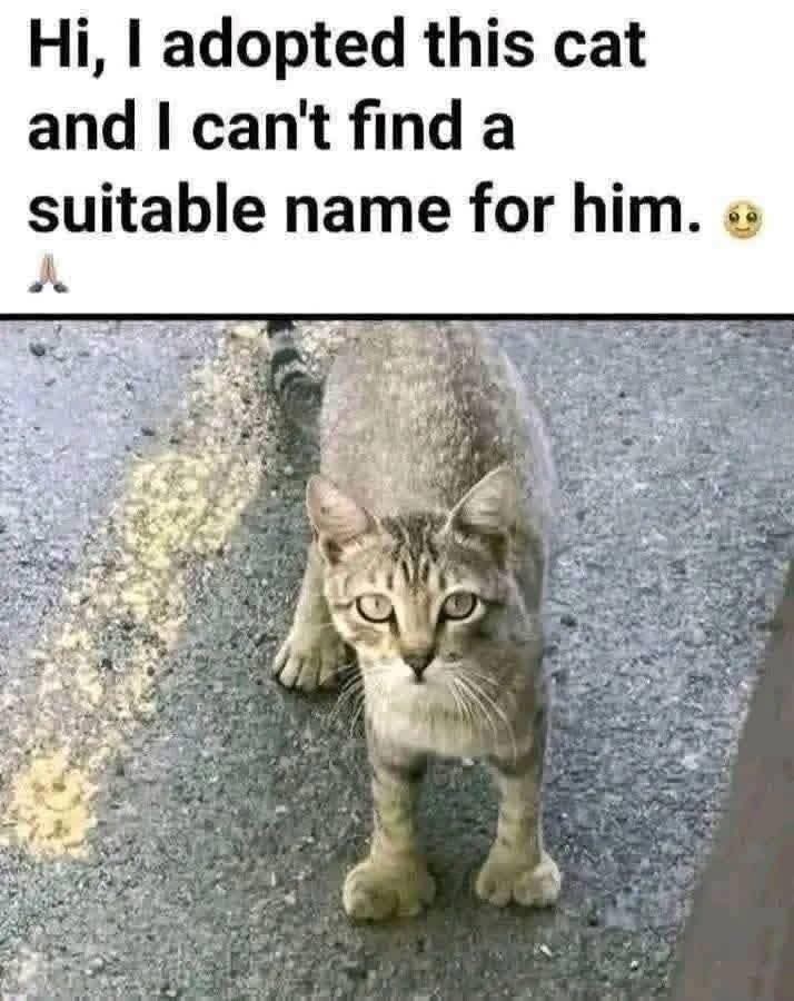 Kristina Bolten tweet media