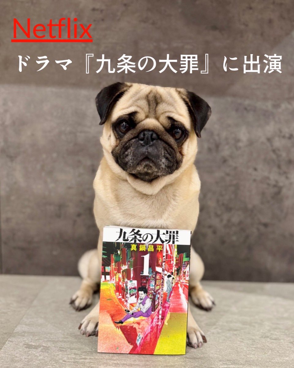 ごんたまちゃんねる tweet media