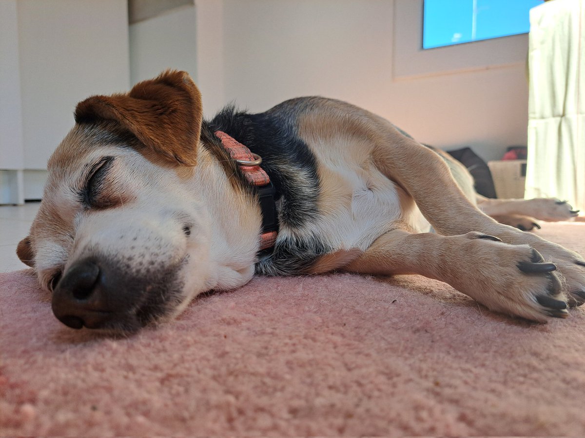 C1-QB8 | cubotta tweet media