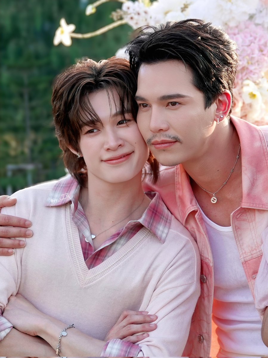 shanfeng tweet media