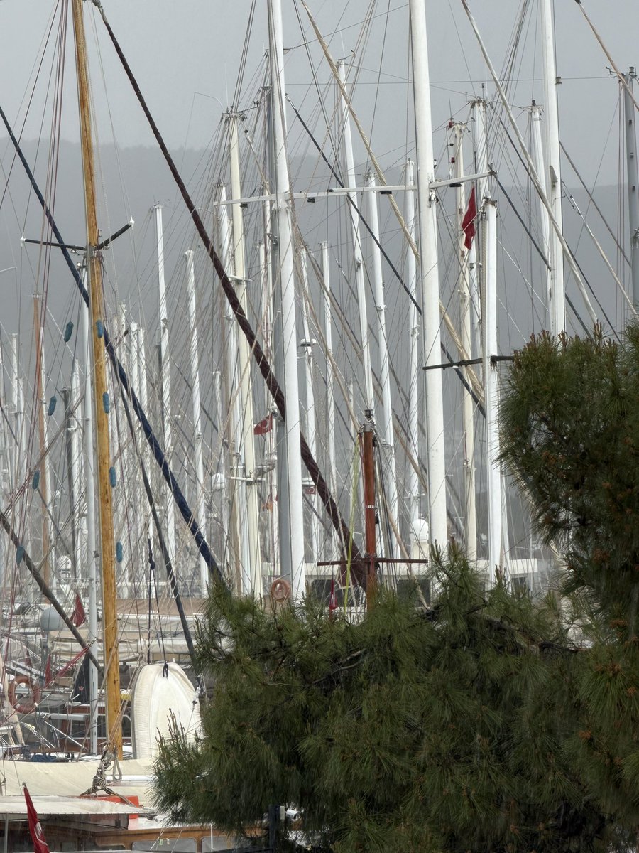 Gülüşan Küpçü tweet media