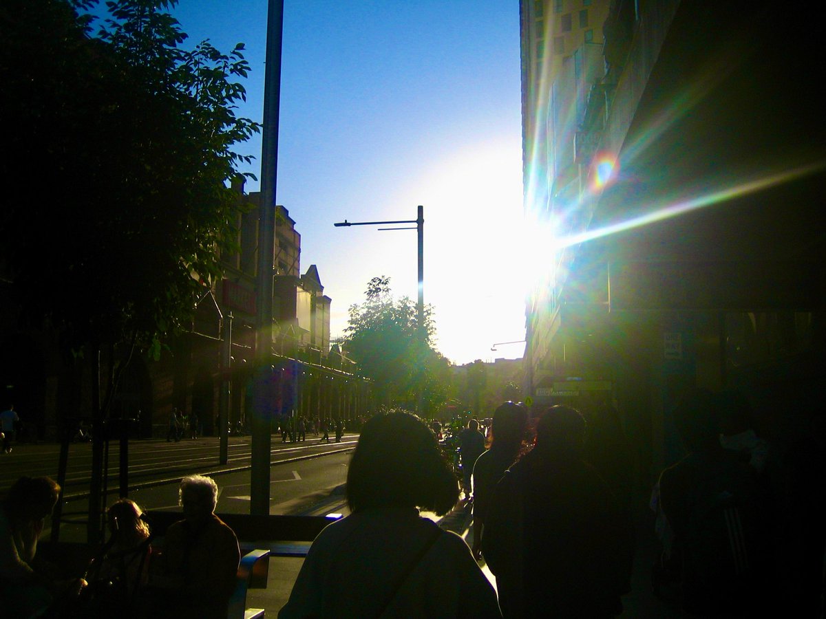 everything is so strange tweet media