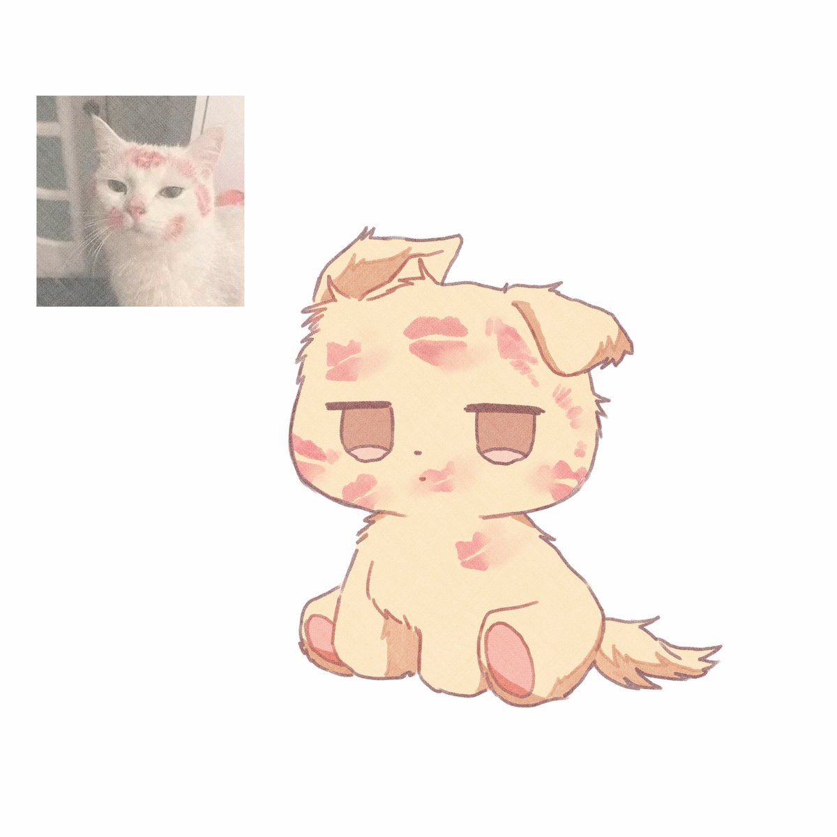 소낙비 tweet media