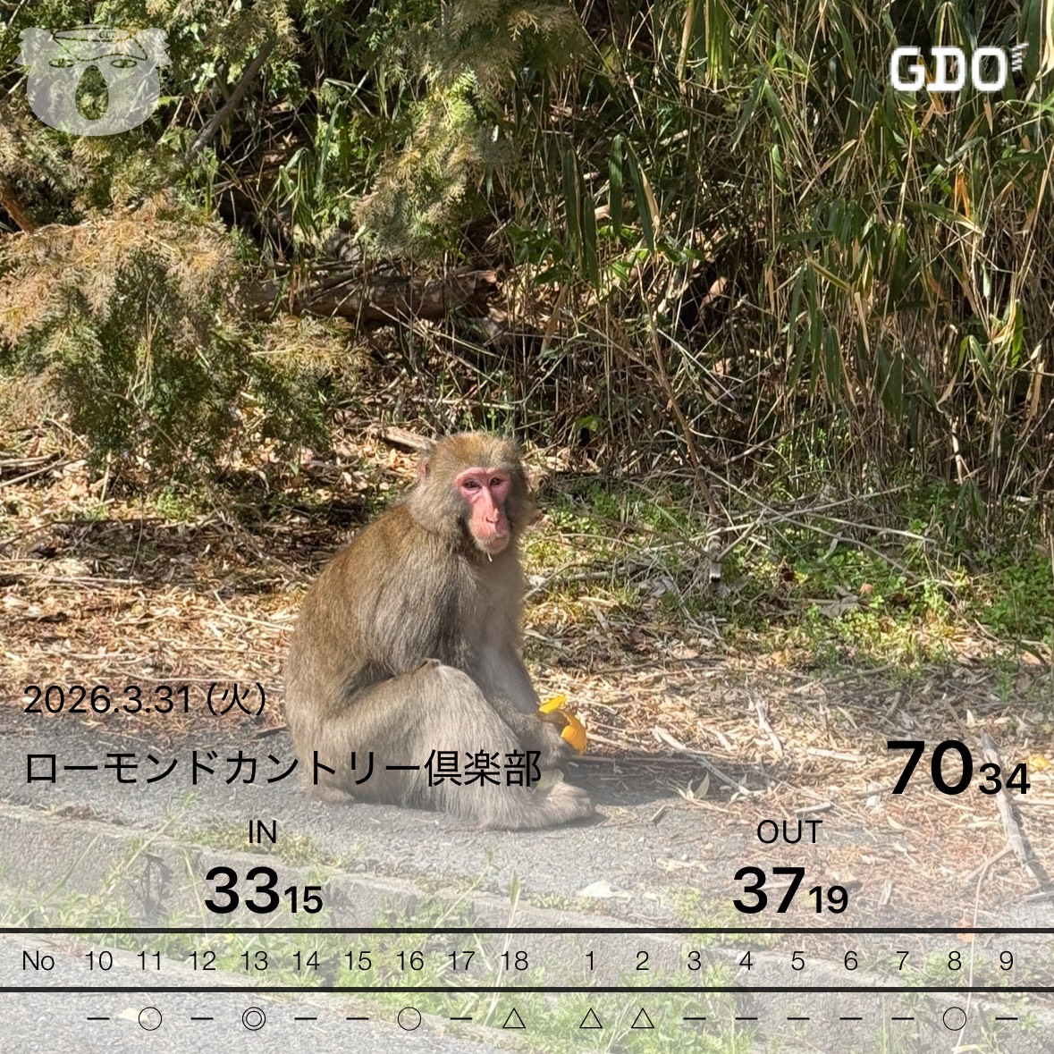 ぐらんどーべ tweet media