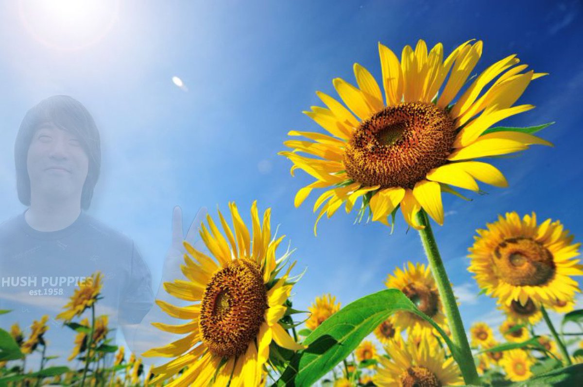 こうき tweet media