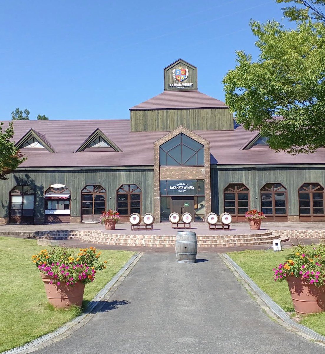 GUTE_RachelHan tweet media