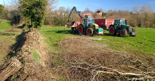 Diane - Intranot tweet media