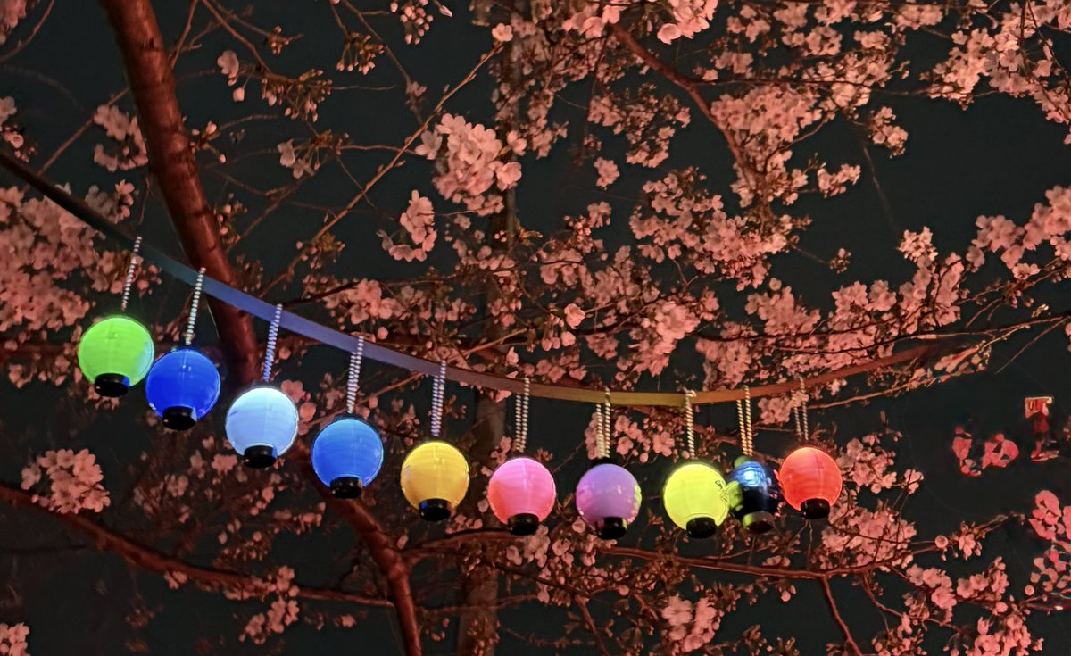 ふな.co tweet media