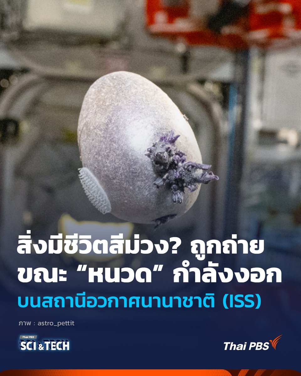 ThaiPBS Sci & Tech tweet media