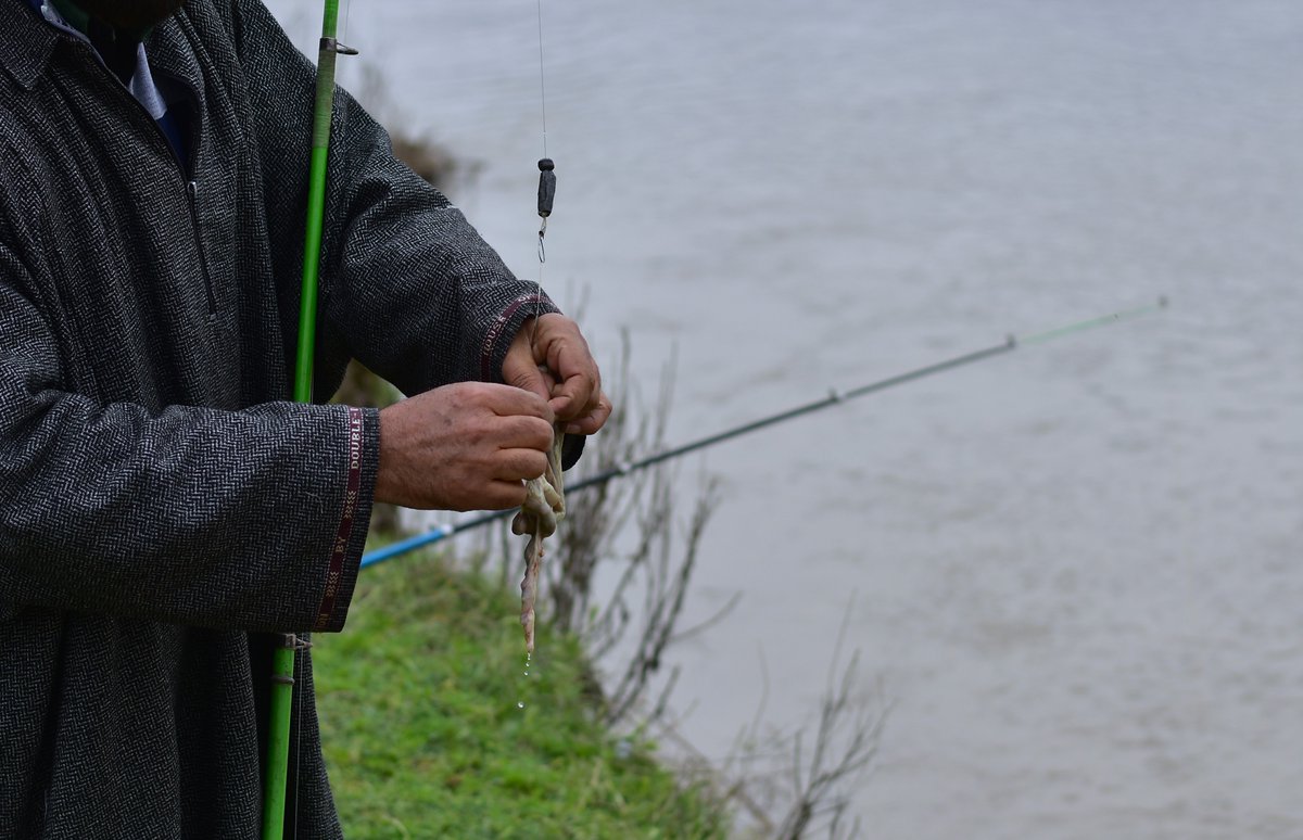 KashmirLife's tweet image. Quiet Cast on the Jhelum

On the outskirts of #Srinagar, an #angler sits along the banks of the #JhelumRiver, patiently casting his line into the calm waters, capturing a moment of stillness amid the valley’s daily rhythm. See photos by @ishoaibnazir