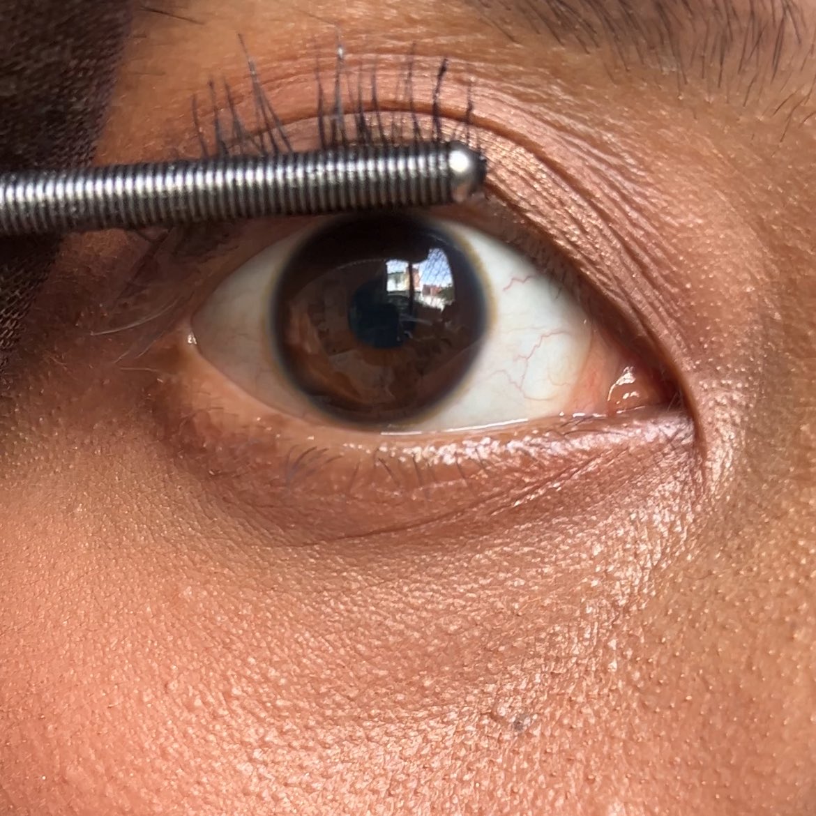 Bian Arcasia🐈⬛ ྀི tweet media