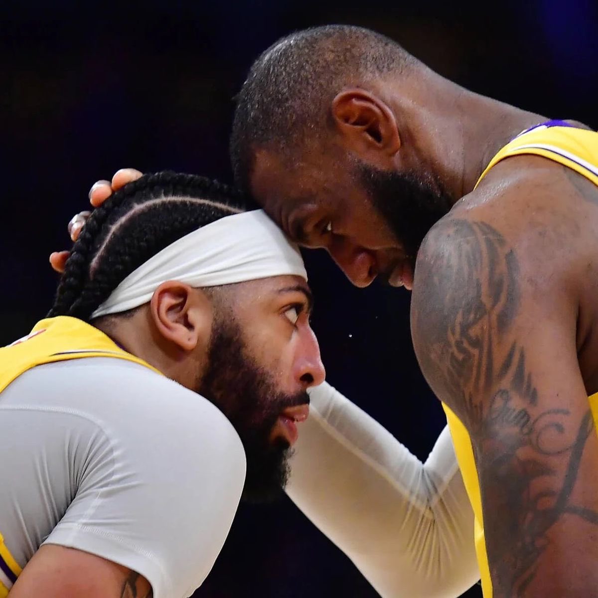 C A L V I N 🕷️ tweet media