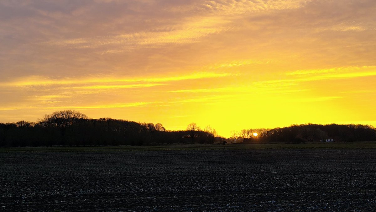 Luc Lambert tweet media