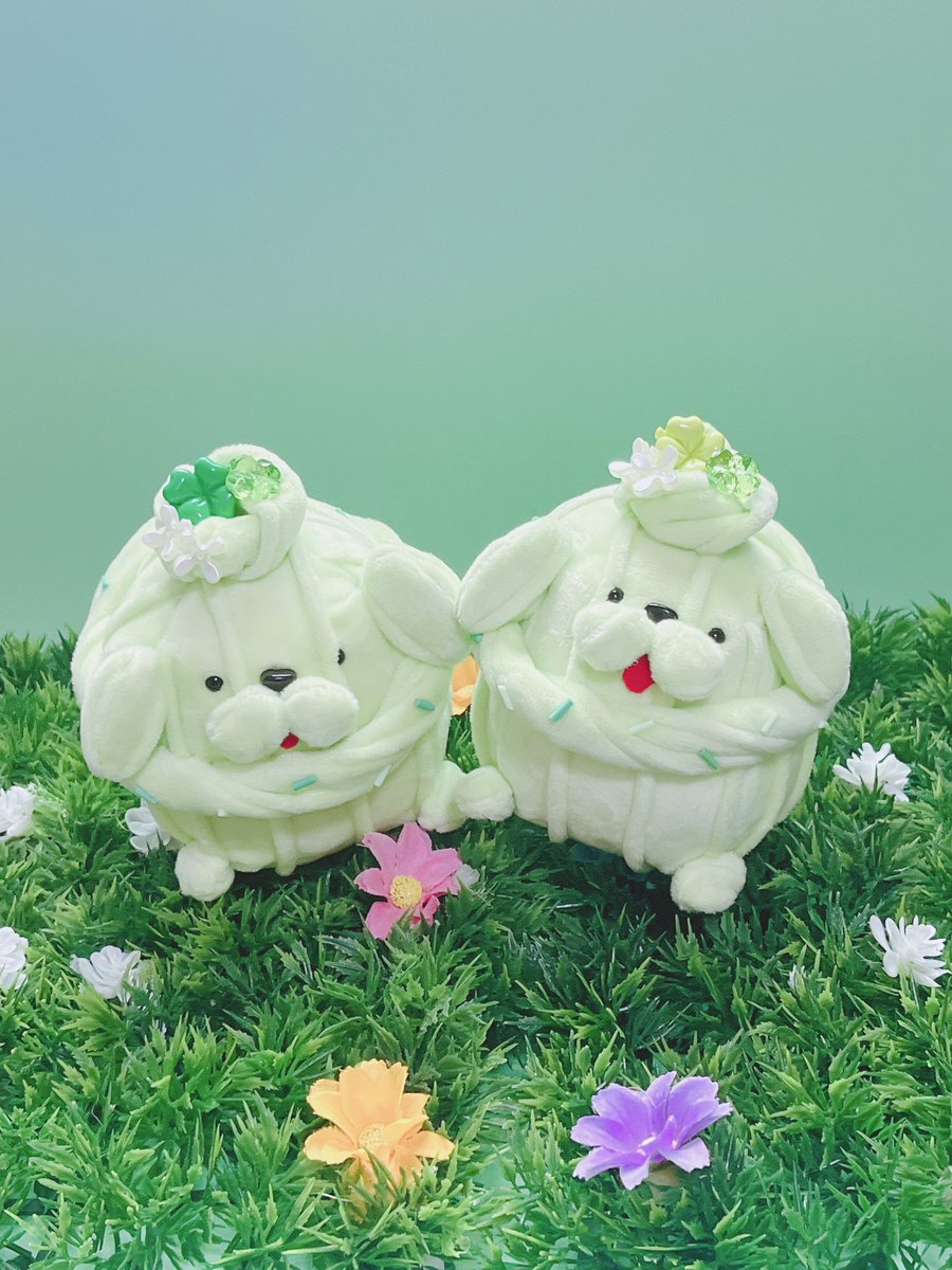 Whipooo🐩🧁 tweet media