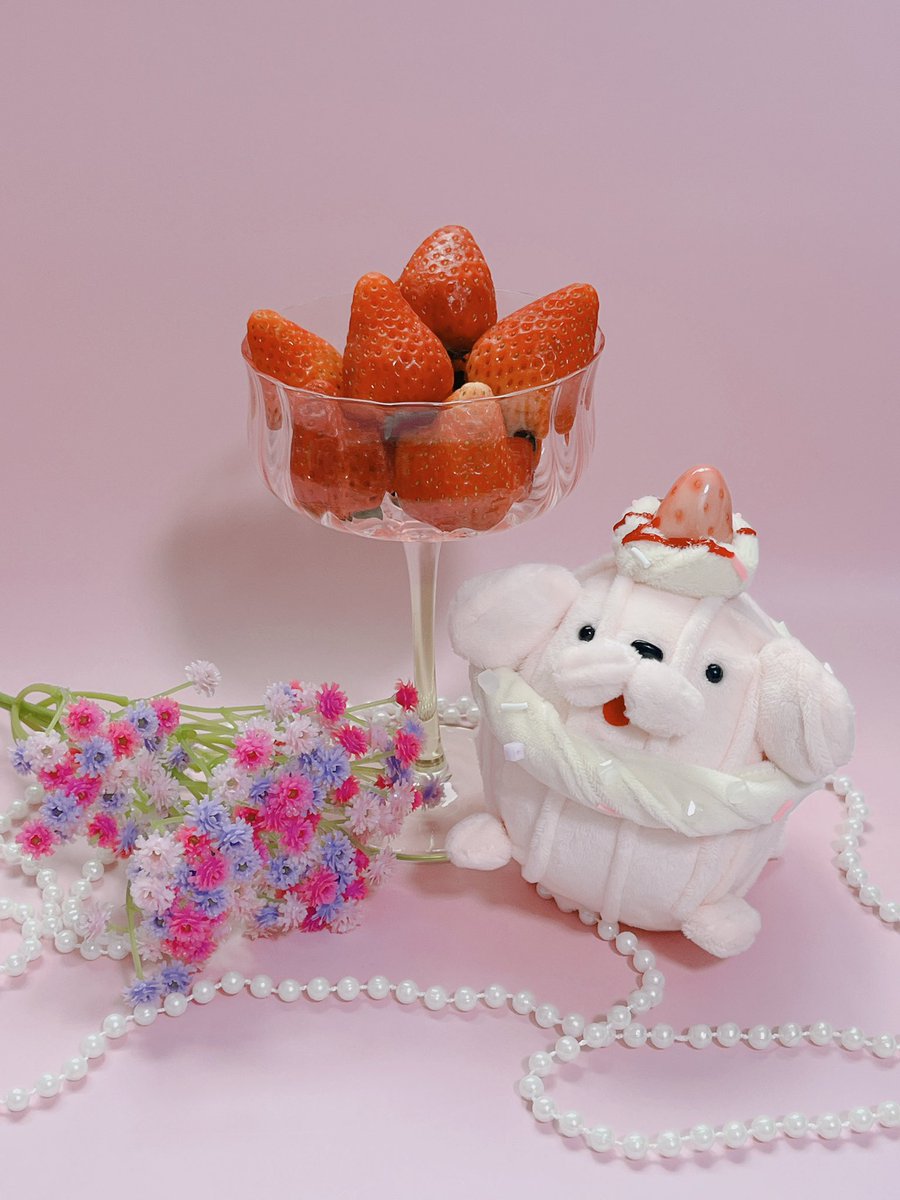 Whipooo🐩🧁 tweet media