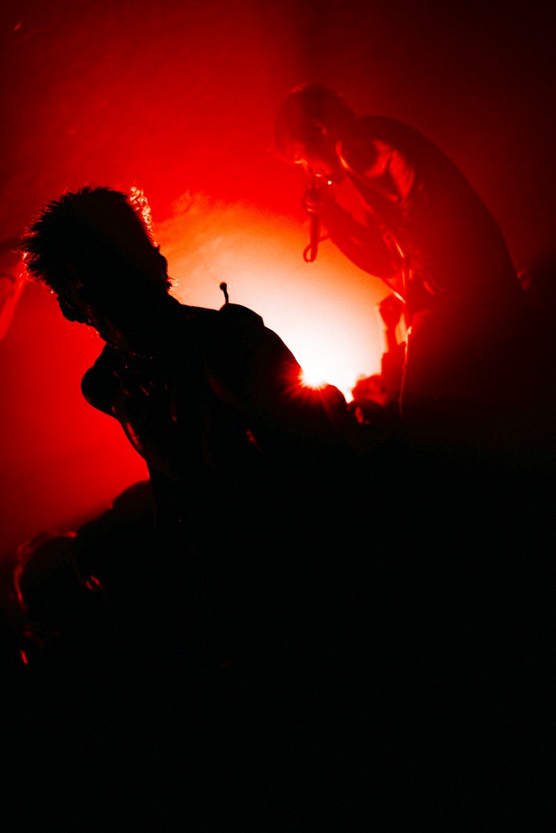 Paledusk tweet media