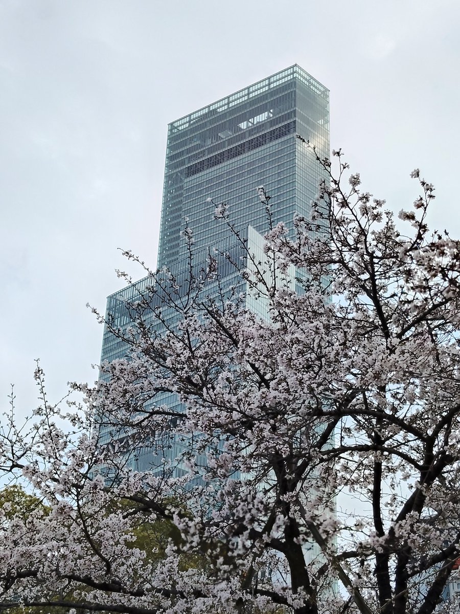 けぃ@ガフ2papa tweet media