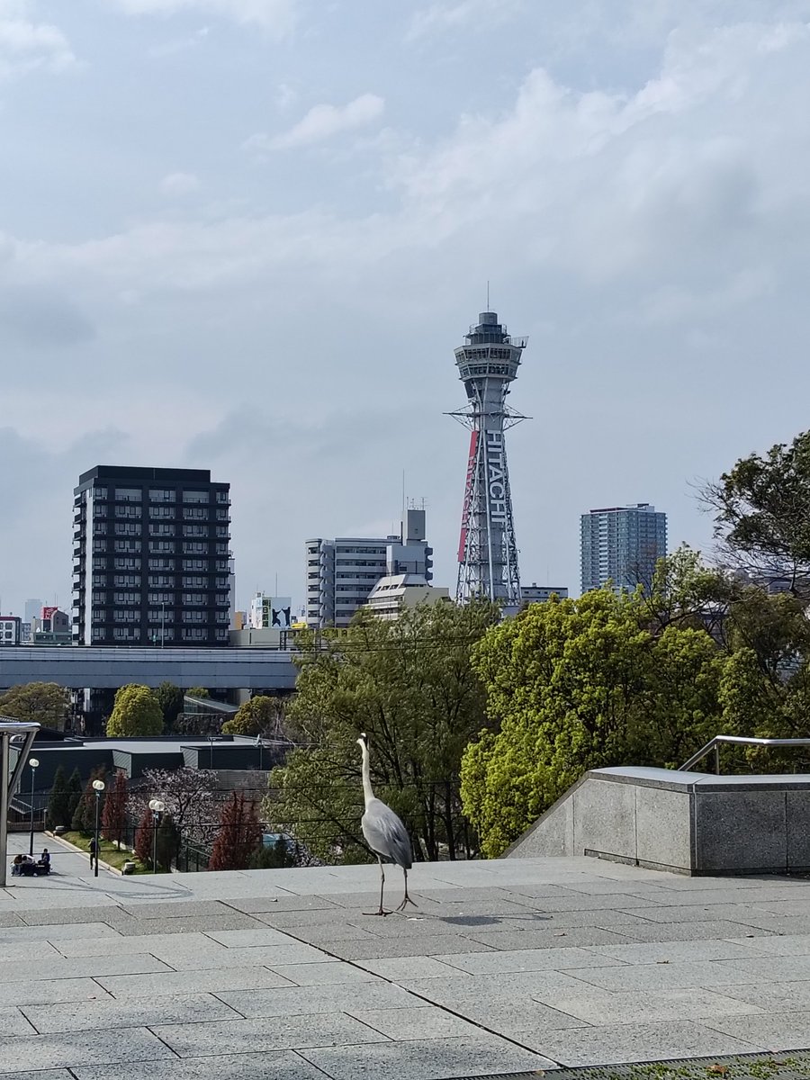 けぃ@ガフ2papa tweet media