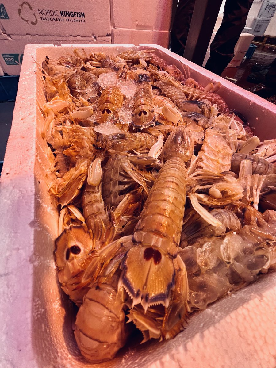 mercamadrid_hoy's tweet image. 🆙¿Conoces la galera? 🤔

🦀Este crustáceo, tradicionalmente utilizado para caldos y guisos marineros 🌊, está cada vez ➕presente en nuestra #gastronomia 

🔥A la brasa y plancha con un poco de sal y aceite 
 
🎣Captúrala en tu #pescaderia y #comercio local

#vistoenmercamadrid