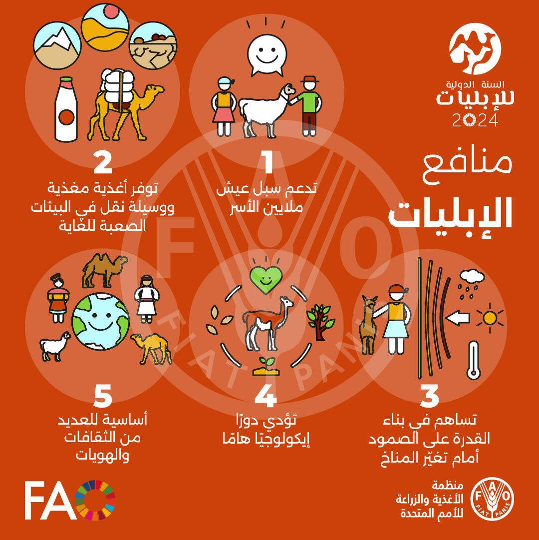 أبطال الصحاري والمرتفعات، يساهمون في الأمن الغذائي والتغذية والنمو الاقتصادي في جميع أنحاء العالم. 🐫🦙🐪

إليك 5 أسباب فقط تجعلنا بحاجة إلى زيادة الوعي والاعتراف بقيمتهم 👇