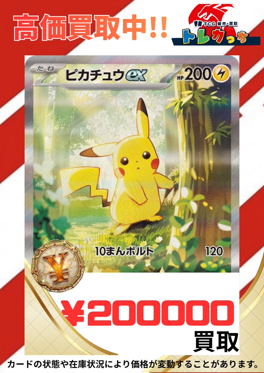 トレカっちポケカ専用アカウント tweet media